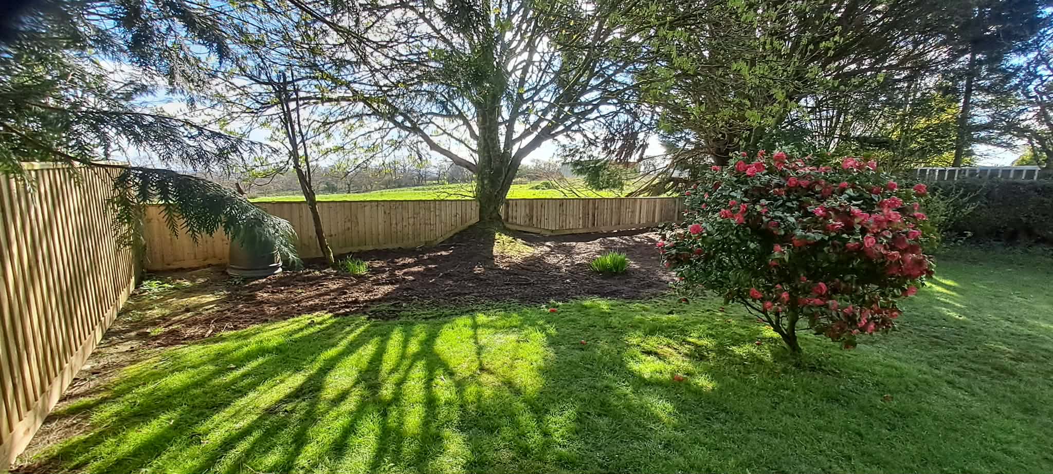 Bespoke timber garden shed built by Inside and Out Maintenance, North Devon